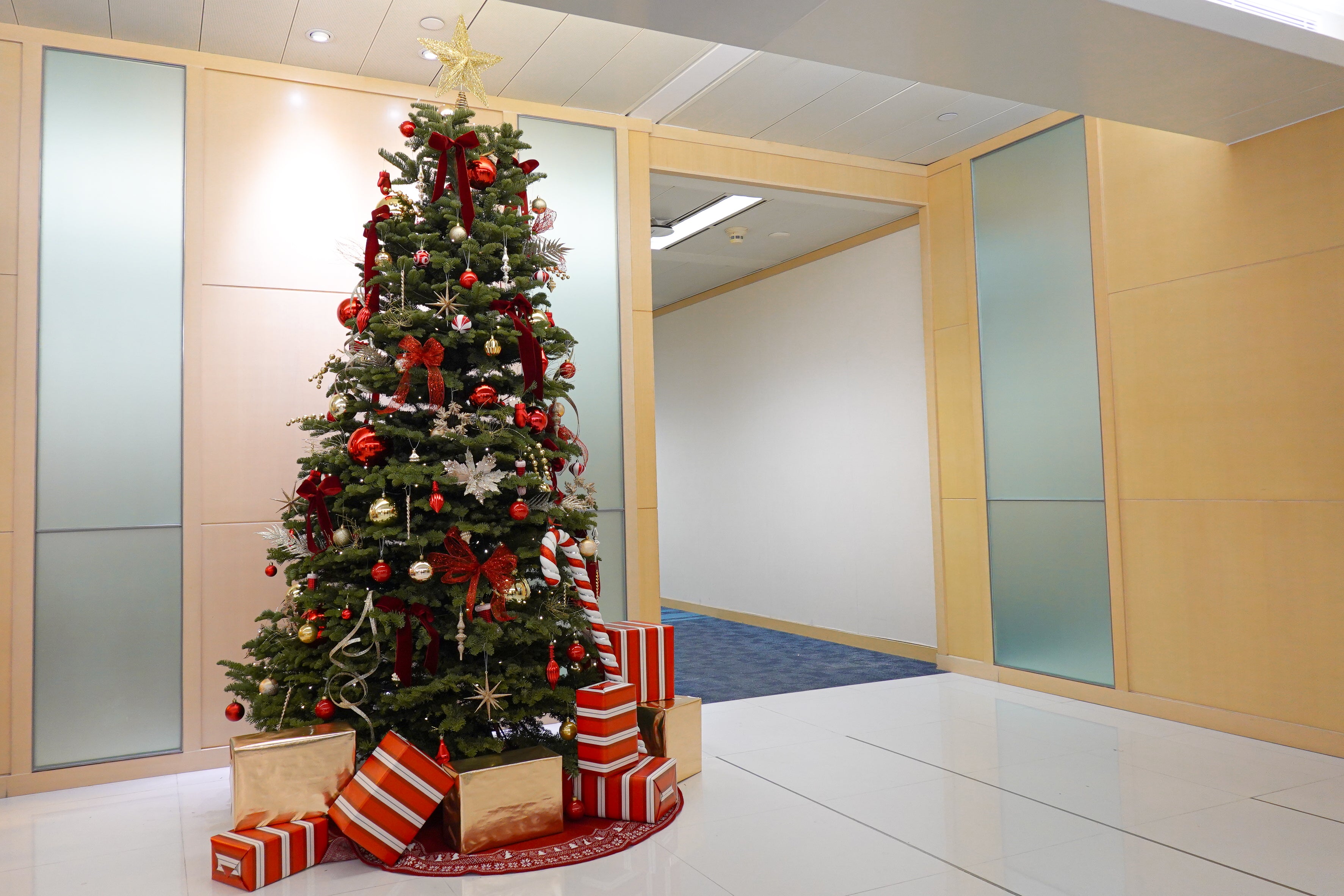 聖誕佈置 | 商場及公司企業佈置 | 場地佈置 | Christmas Decoration | 香港花店