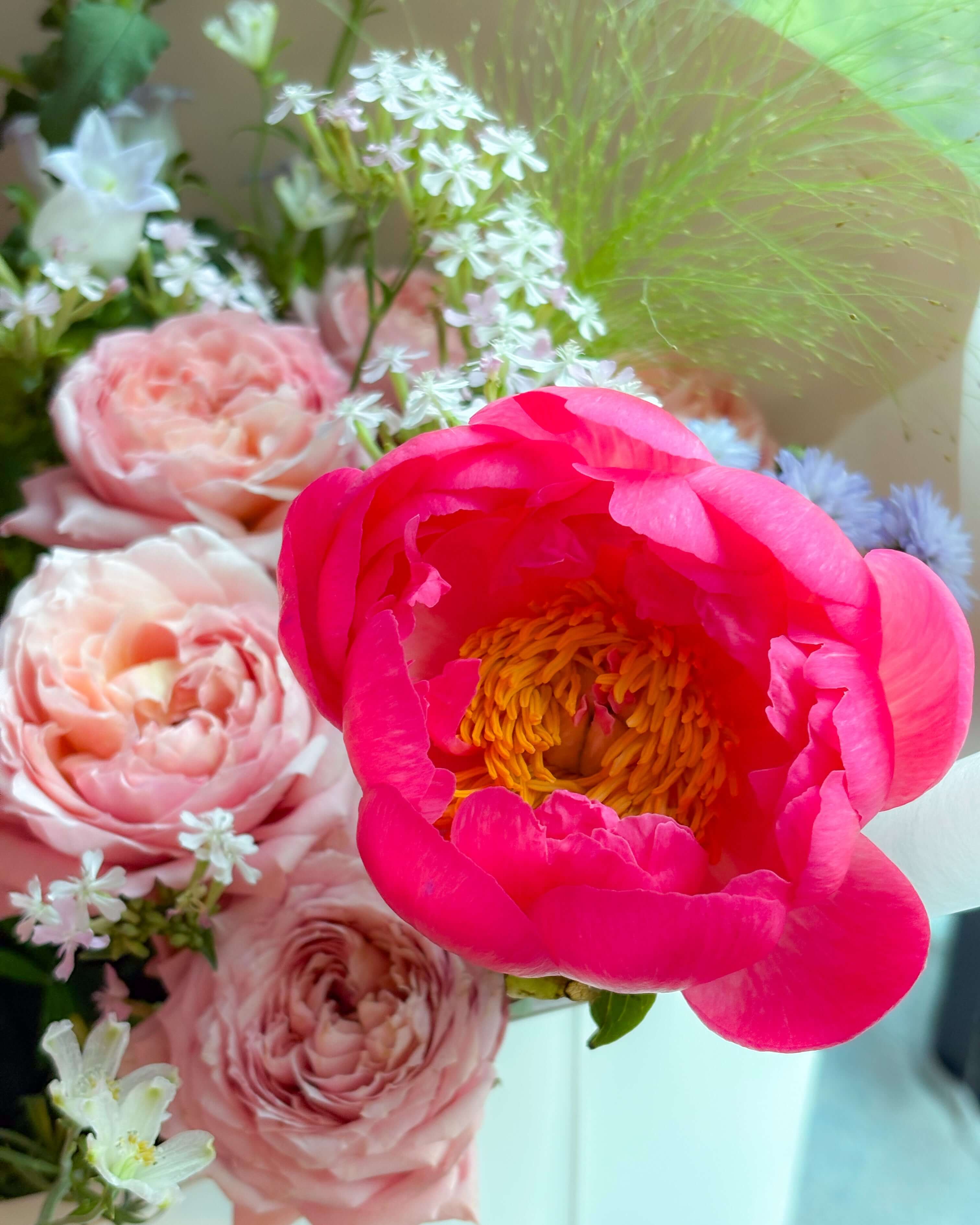 Queen's Radiance 牡丹花束 | 母親節花束2025 | 香港花店 | Let Hope Bloom Florist