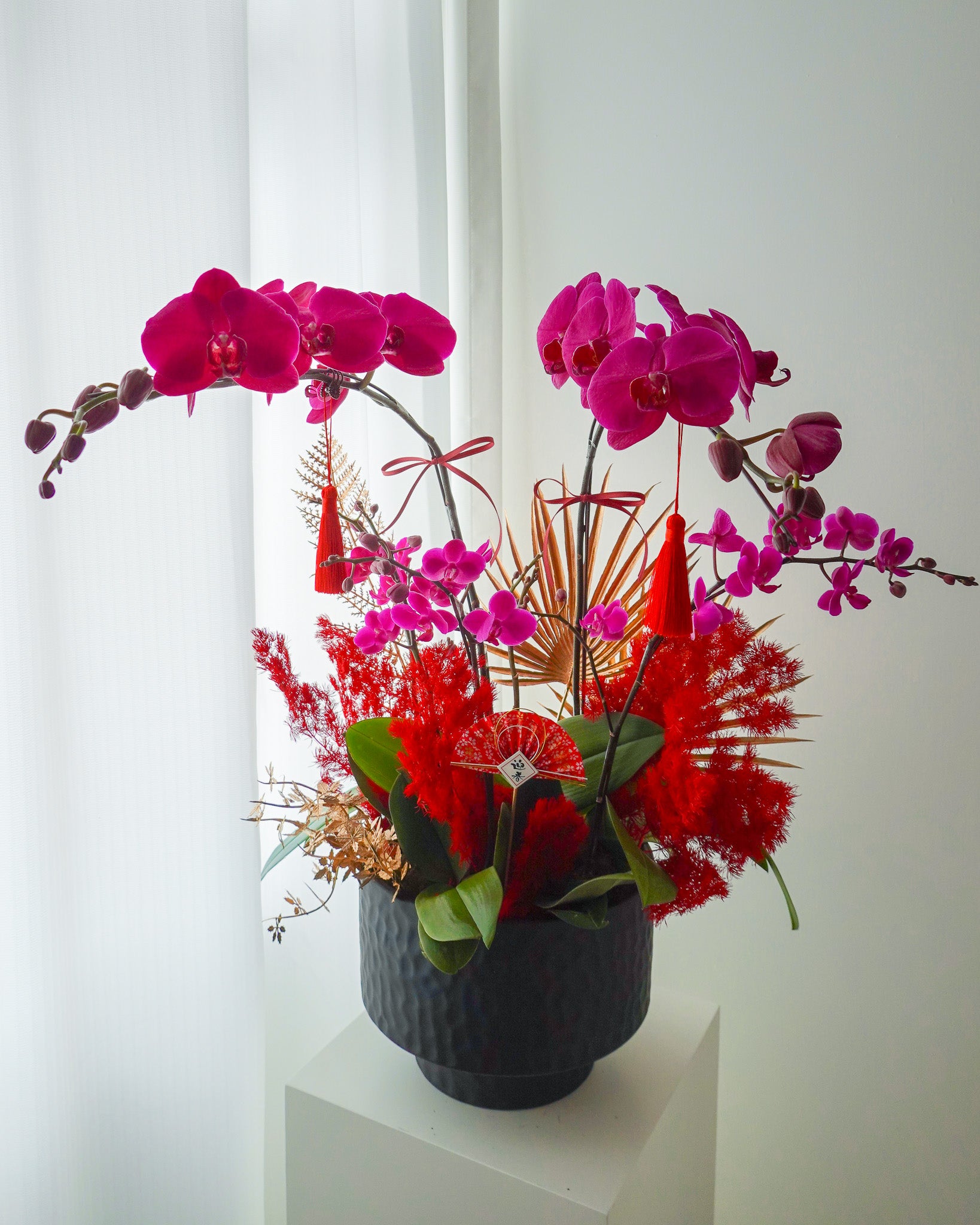 紫蝶迎福 | 蝴蝶蘭花拼盆 | CNY Orchid