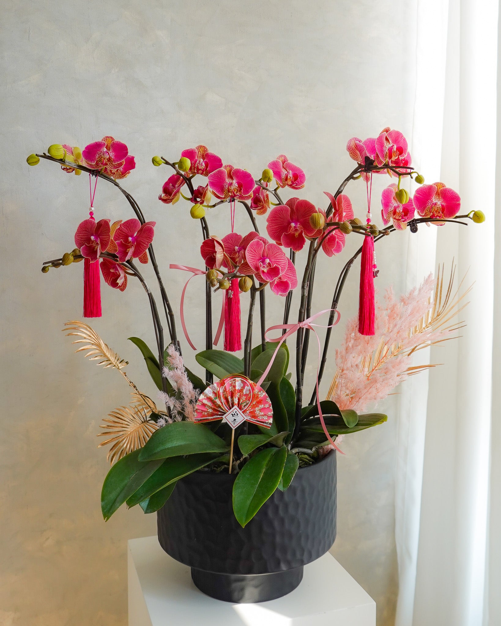 瑞華呈祥 | 蝴蝶蘭花拼盤 | CNY Orchid