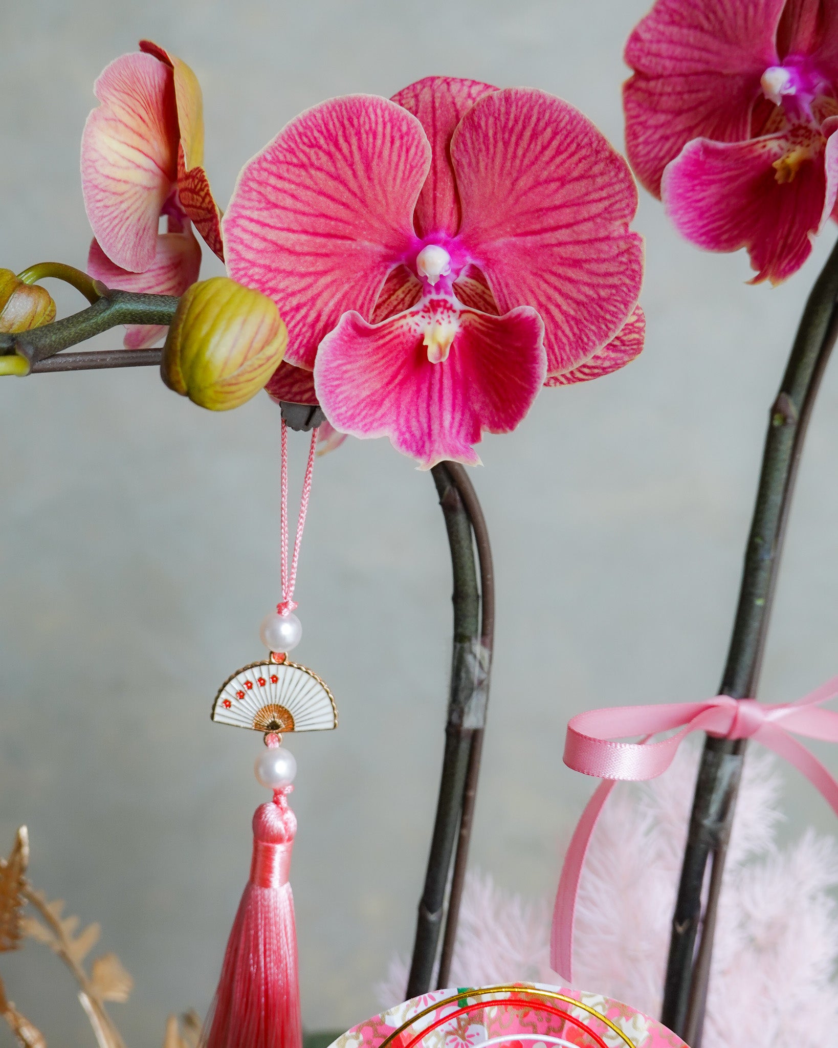 香港蘭花 | 黃色蝴蝶蘭 曉霞初綻 | 新年送禮 開張祝賀