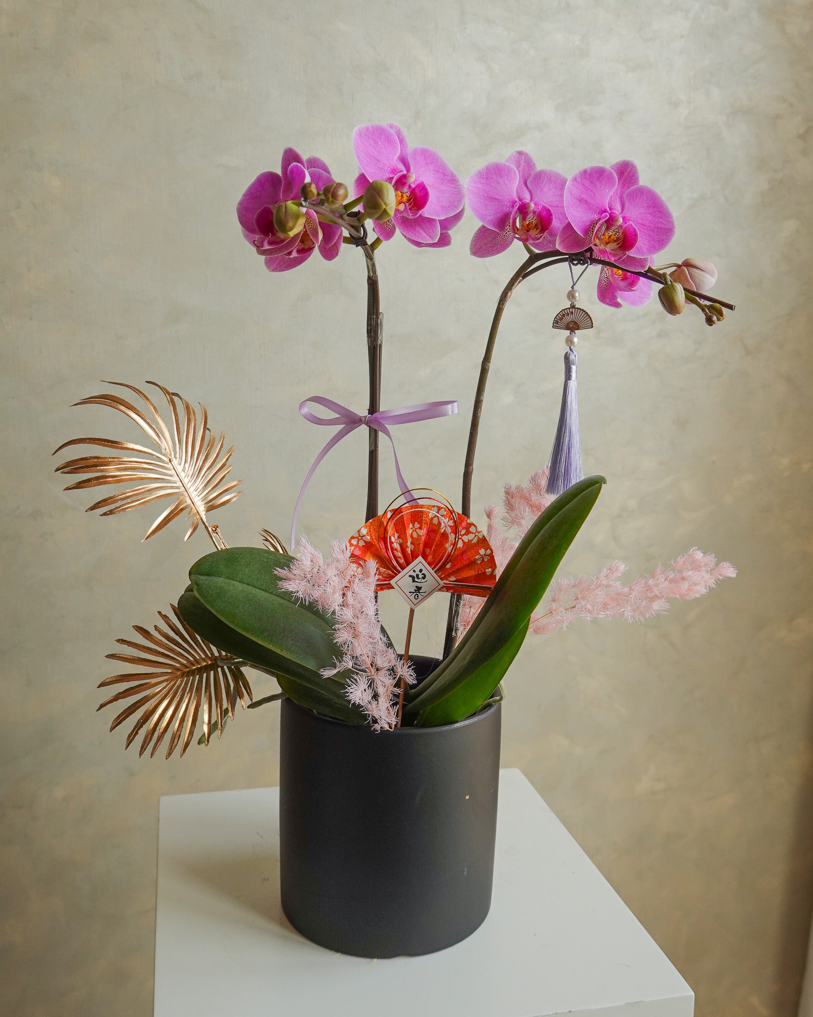 香港蘭花 | 粉紅色蝴蝶蘭 粉黛佳人 | 新年送禮 開張祝賀