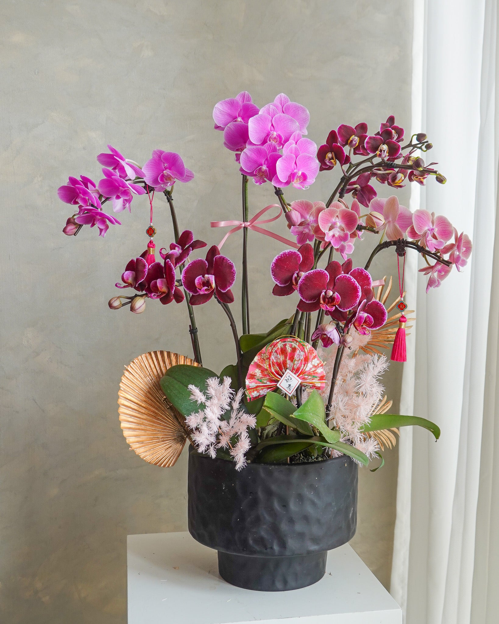 香港蘭花 | 粉紅色蝴蝶蘭 瑞華呈祥 | 新年送禮 開張祝賀