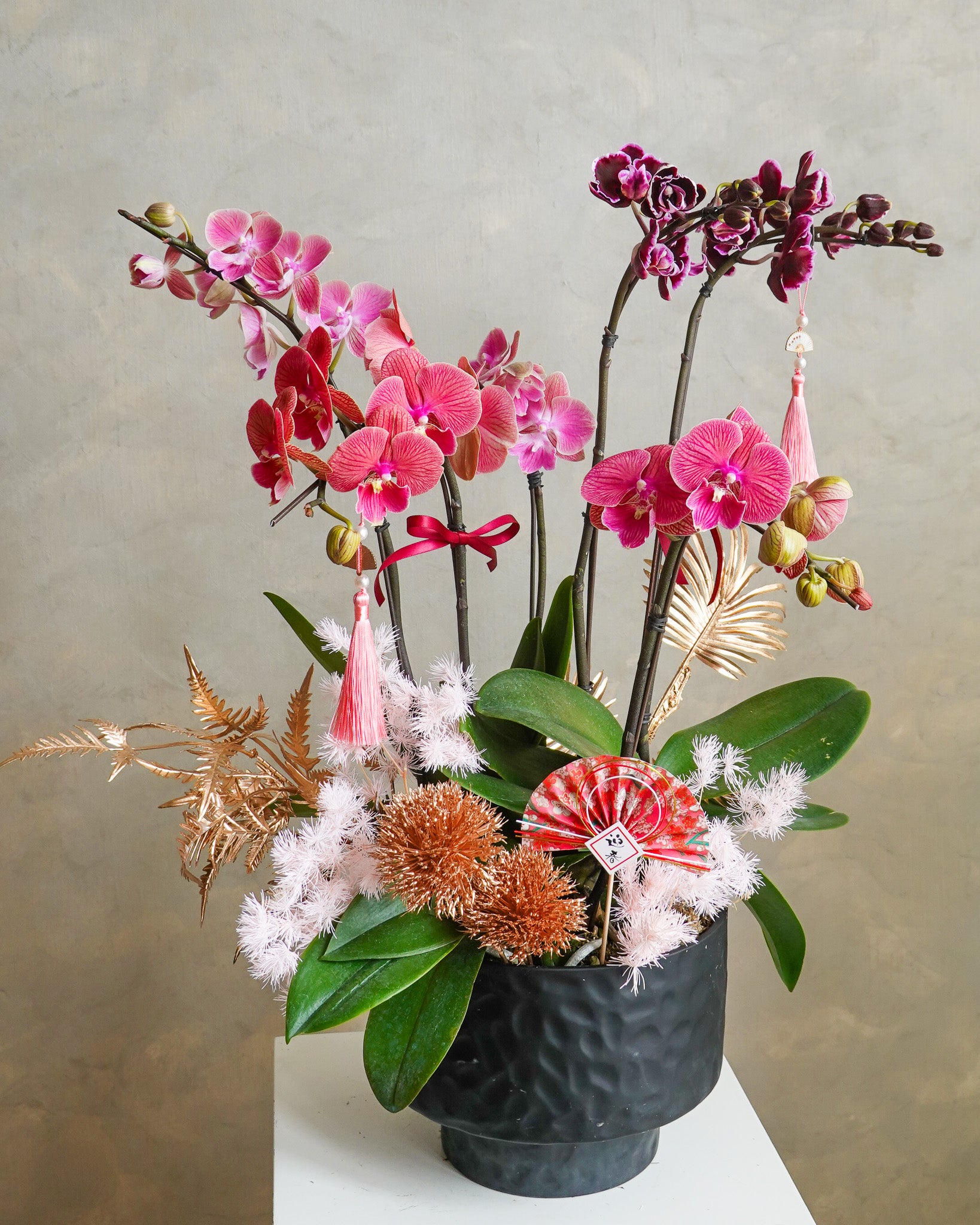 香港蘭花 | 粉紅色蝴蝶蘭拼盤 富貴生輝 | 新年送禮 開張祝賀