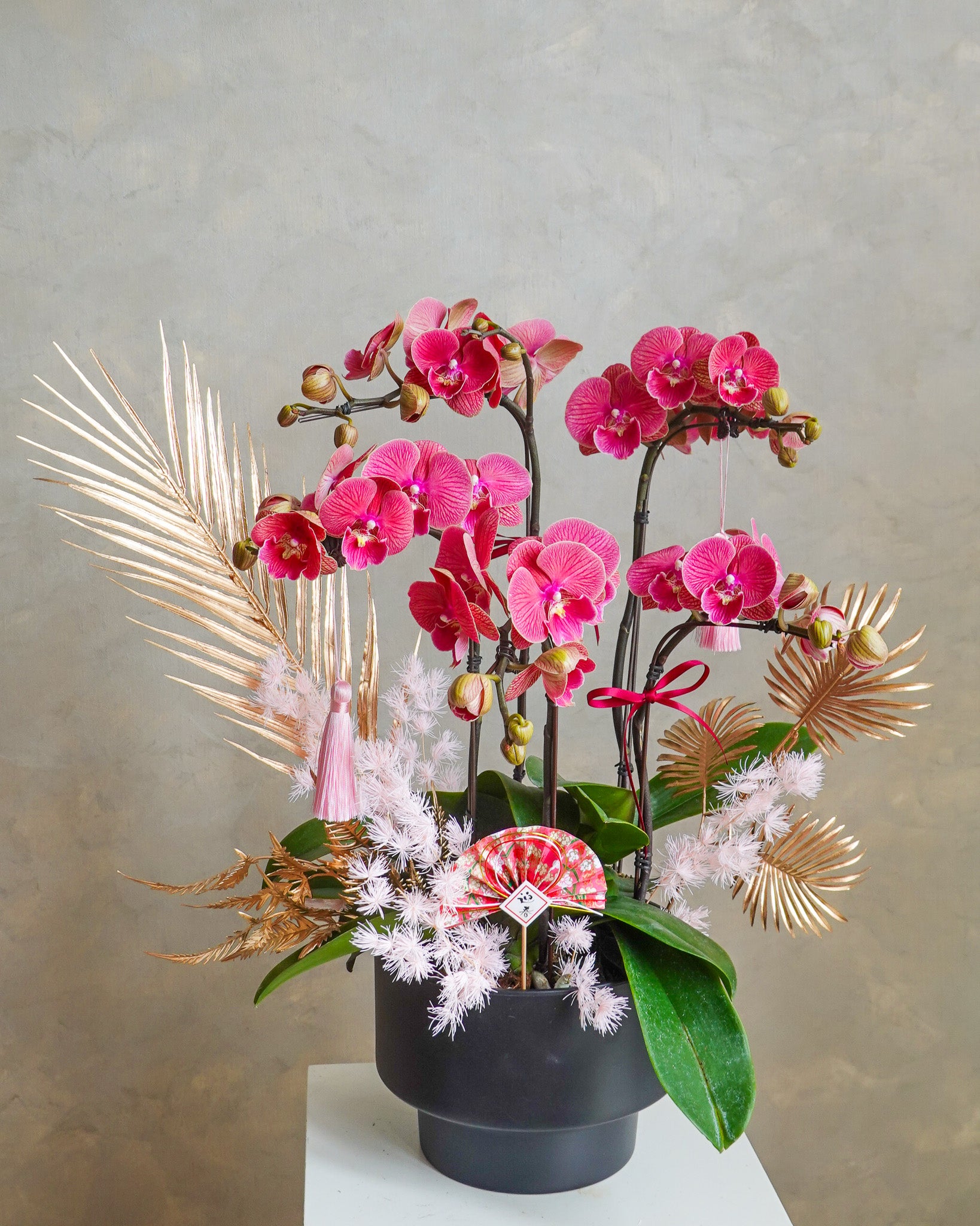 香港蘭花 | 黃色蝴蝶蘭 曉霞初綻 | 新年送禮 開張祝賀