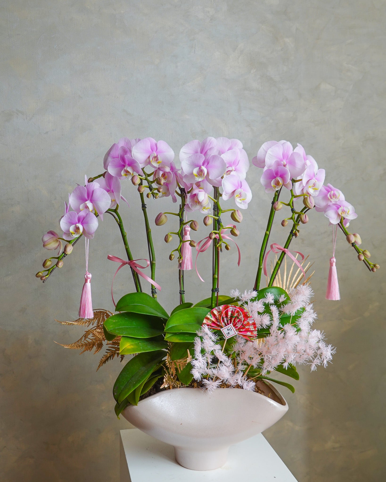 香港蘭花 | 粉紅色台灣蝴蝶蘭 春暖人和 | 新年送禮 開張祝賀