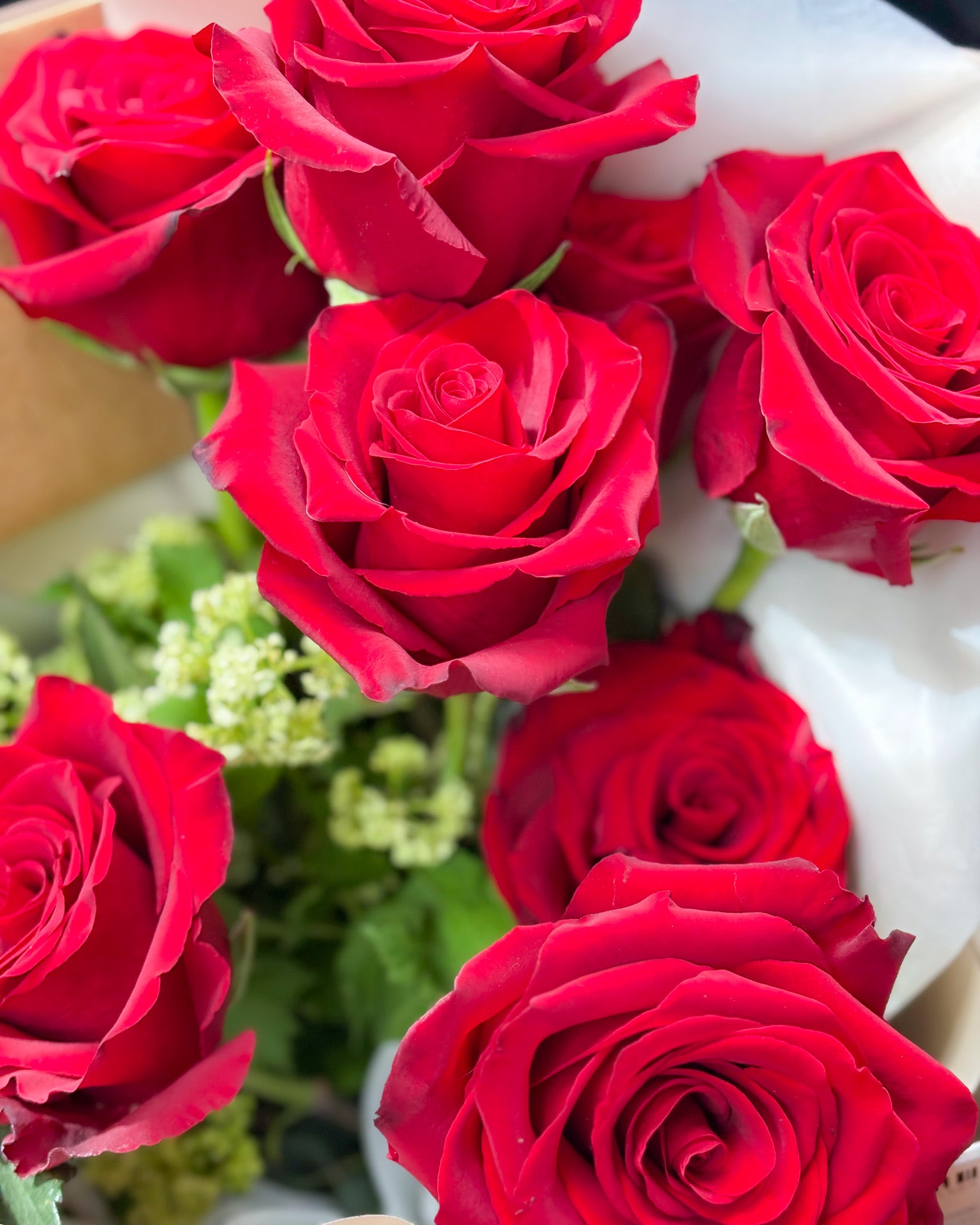 情人節花束2026 | Nespresso | 紅玫瑰花束