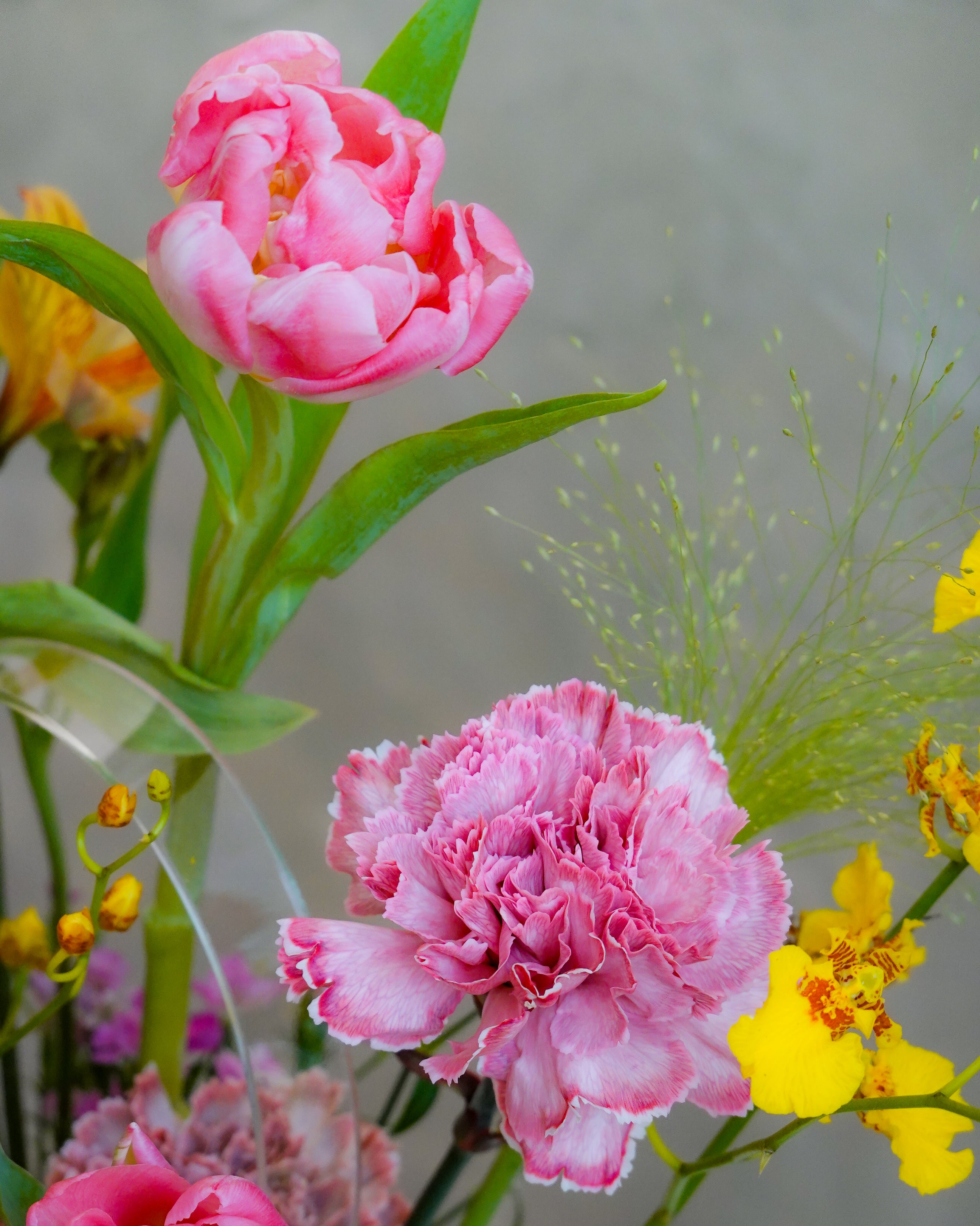 母親節花盒2026香港 | 鬱金香花束母親節
