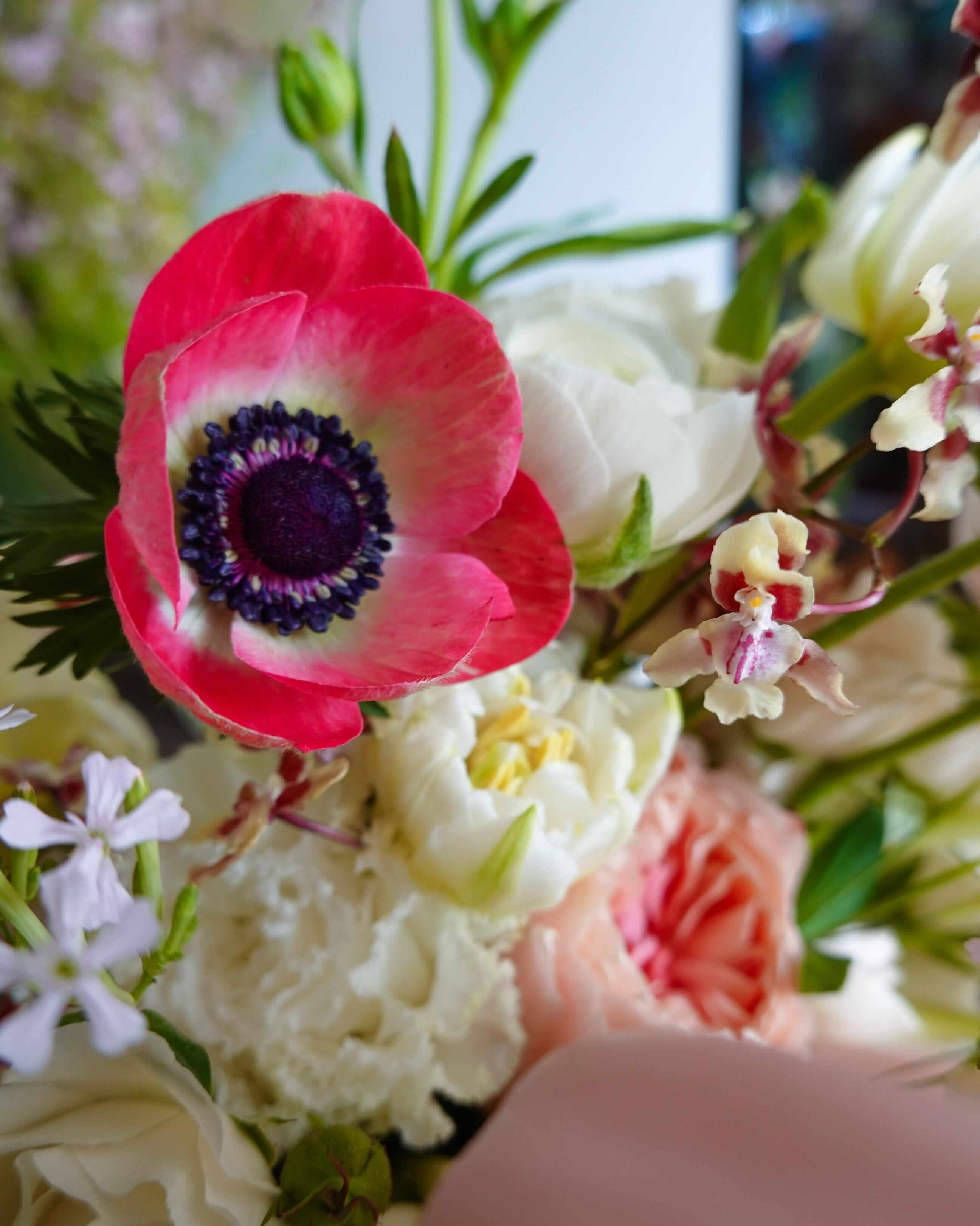 Celestial Gardens | 蝴蝶蘭水滴型結婚花球 Let Hope Bloom