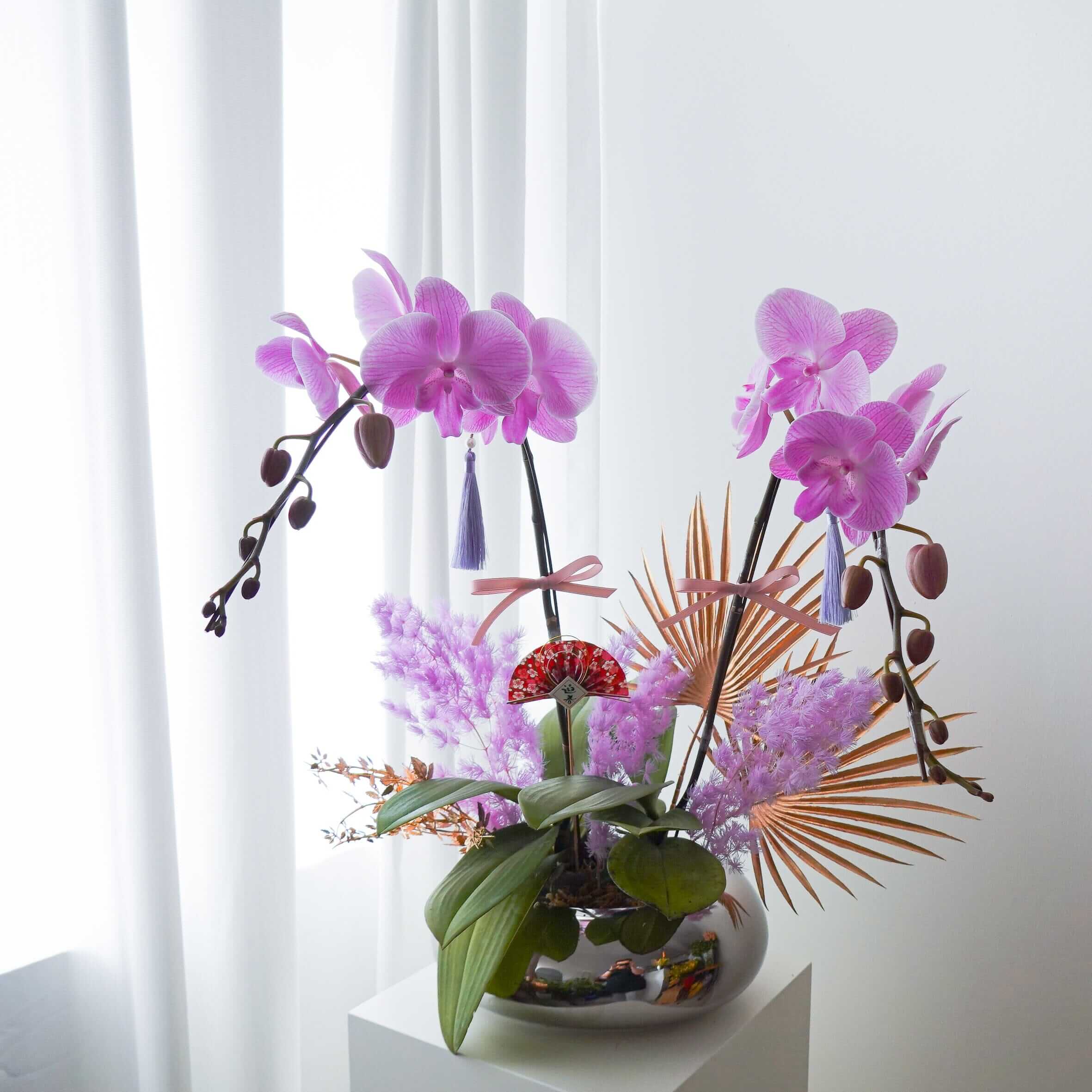 粉黛佳人 | 台灣蝴蝶蘭花 Fresh Cut Flowers Let Hope Bloom