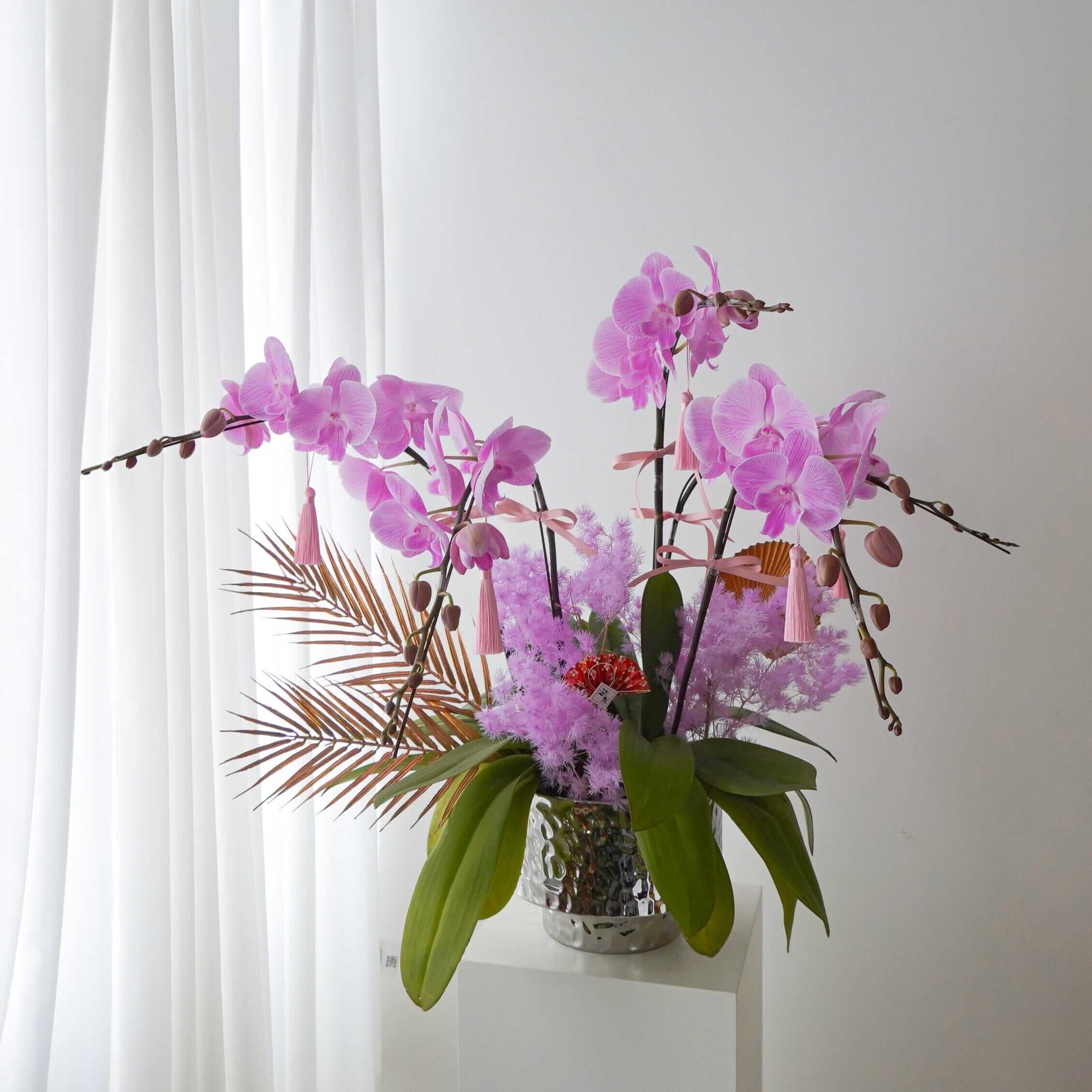 粉黛佳人 | 台灣蝴蝶蘭花 Fresh Cut Flowers Let Hope Bloom