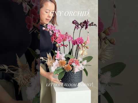香港蘭花 | 粉紅色蝴蝶蘭拼盤 富貴生輝 | 新年送禮 開張祝賀