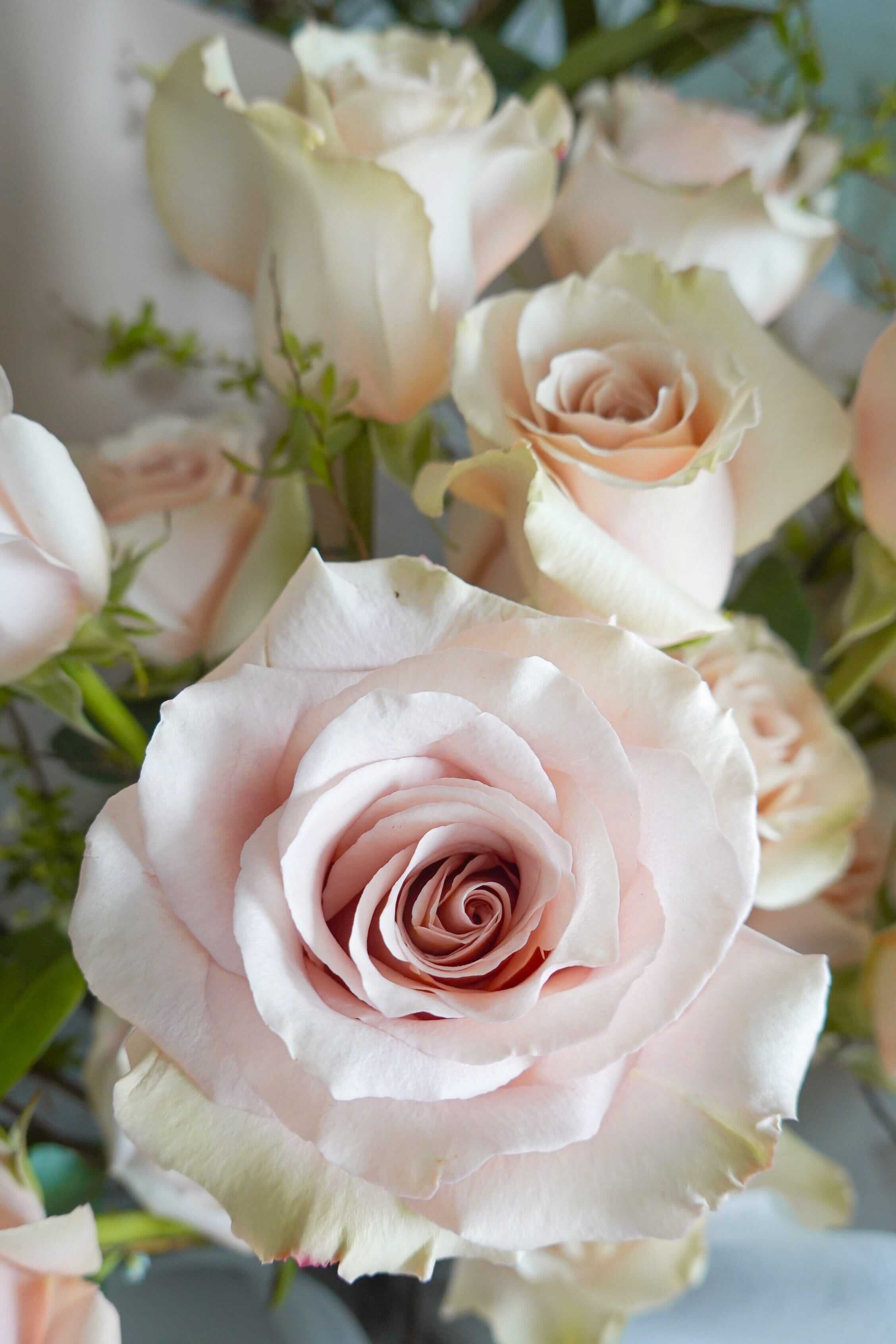 Quicksand Rose Bouquet 流沙玫瑰花束 Seasonal Bouquet Let Hope Bloom
