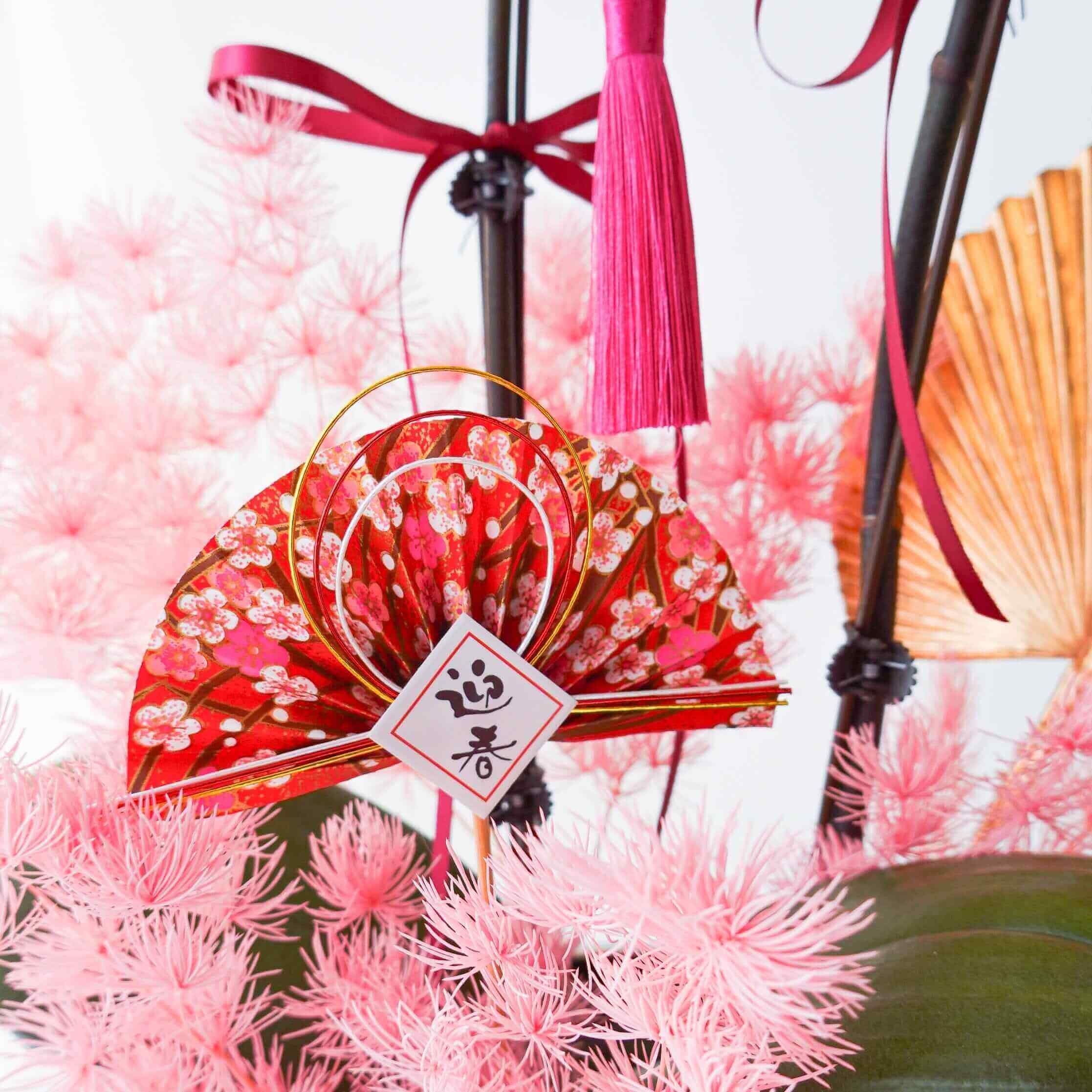 香港蘭花 | 粉紅色蝴蝶蘭 粉黛佳人 | 新年送禮 開張祝賀