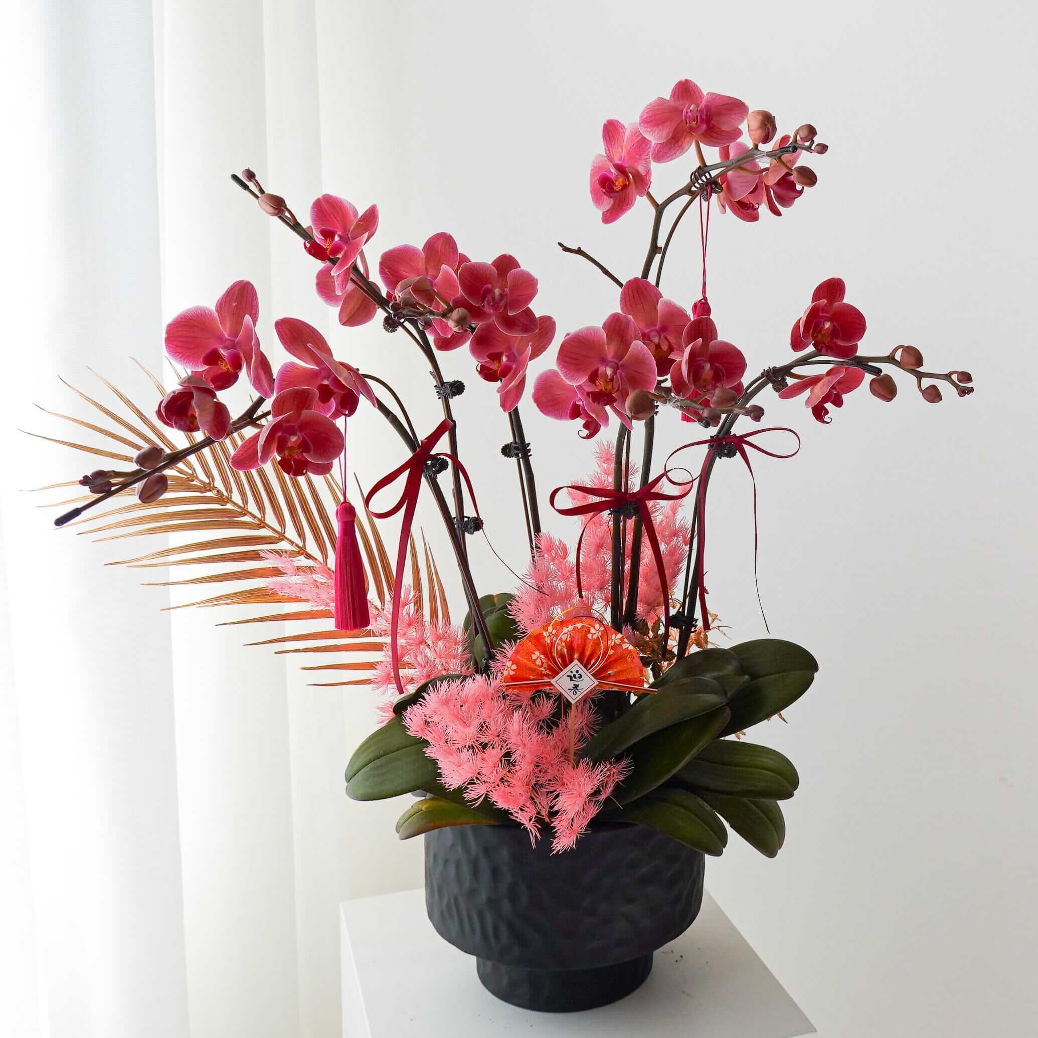 曉霞初綻 | 蝴蝶蘭花 | 賀年蘭花 2026 | 訂蘭花 | 香港花店