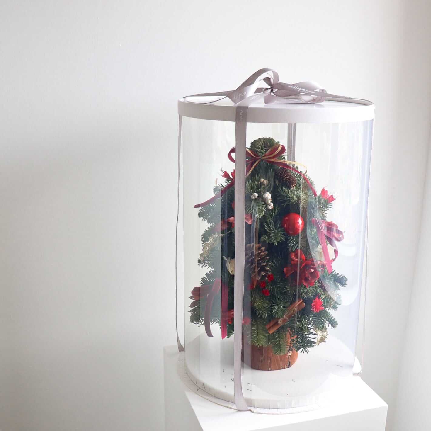 新鮮荷蘭貴族松迷你聖誕樹 <br> Noble Fir Mini Christmas Tree Christmas Collection Let Hope Bloom
