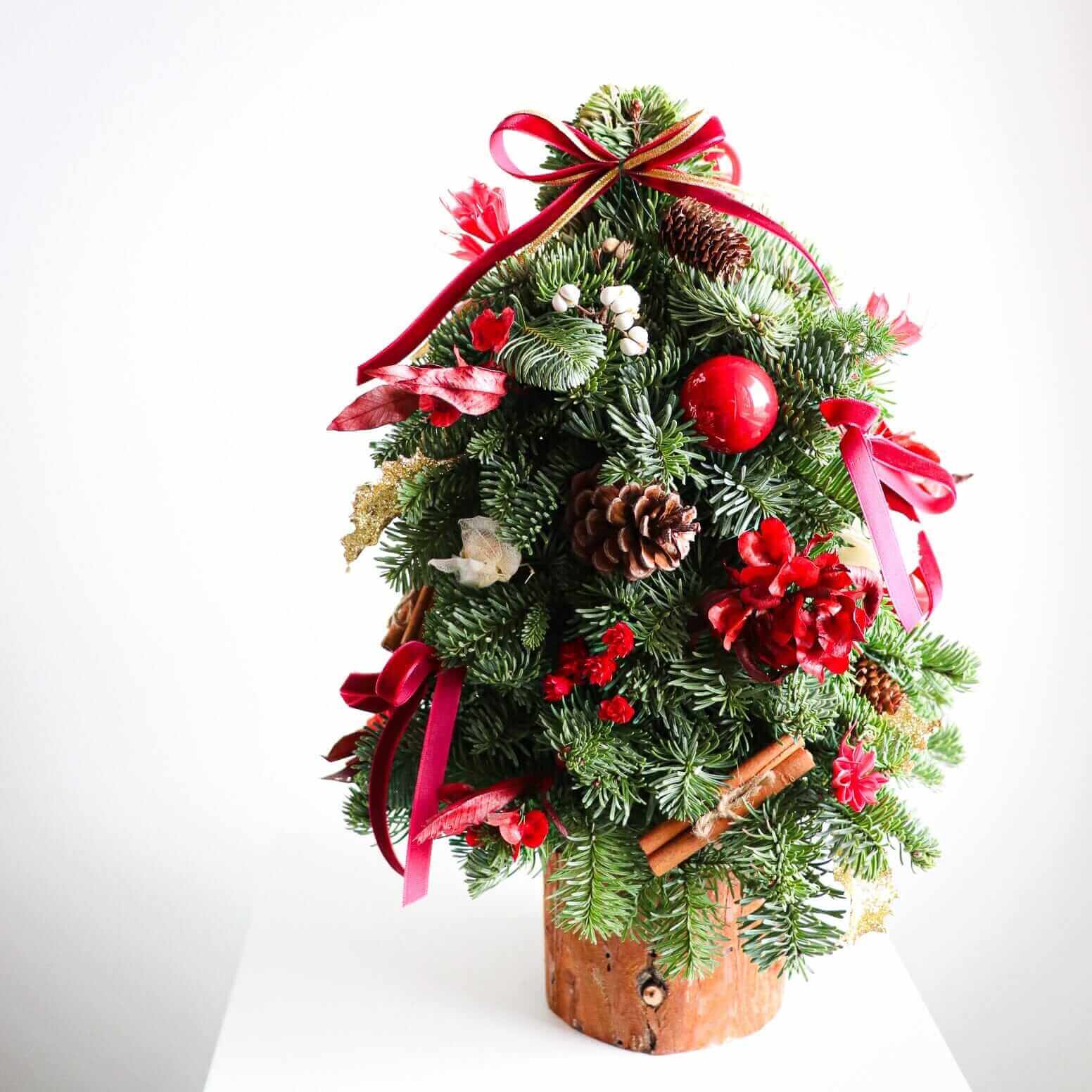 新鮮荷蘭貴族松迷你聖誕樹 <br> Noble Fir Mini Christmas Tree Christmas Collection Let Hope Bloom
