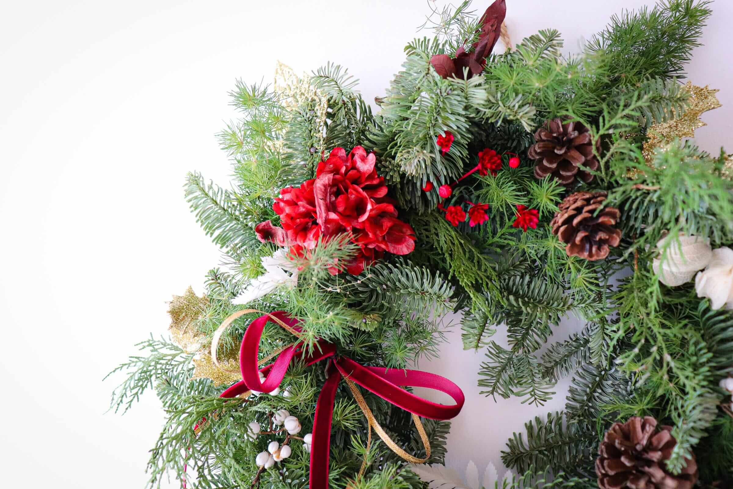 新鮮荷蘭貴族松聖誕花環 <br> Noble Fir Christmas Wreath Christmas Collection Let Hope Bloom