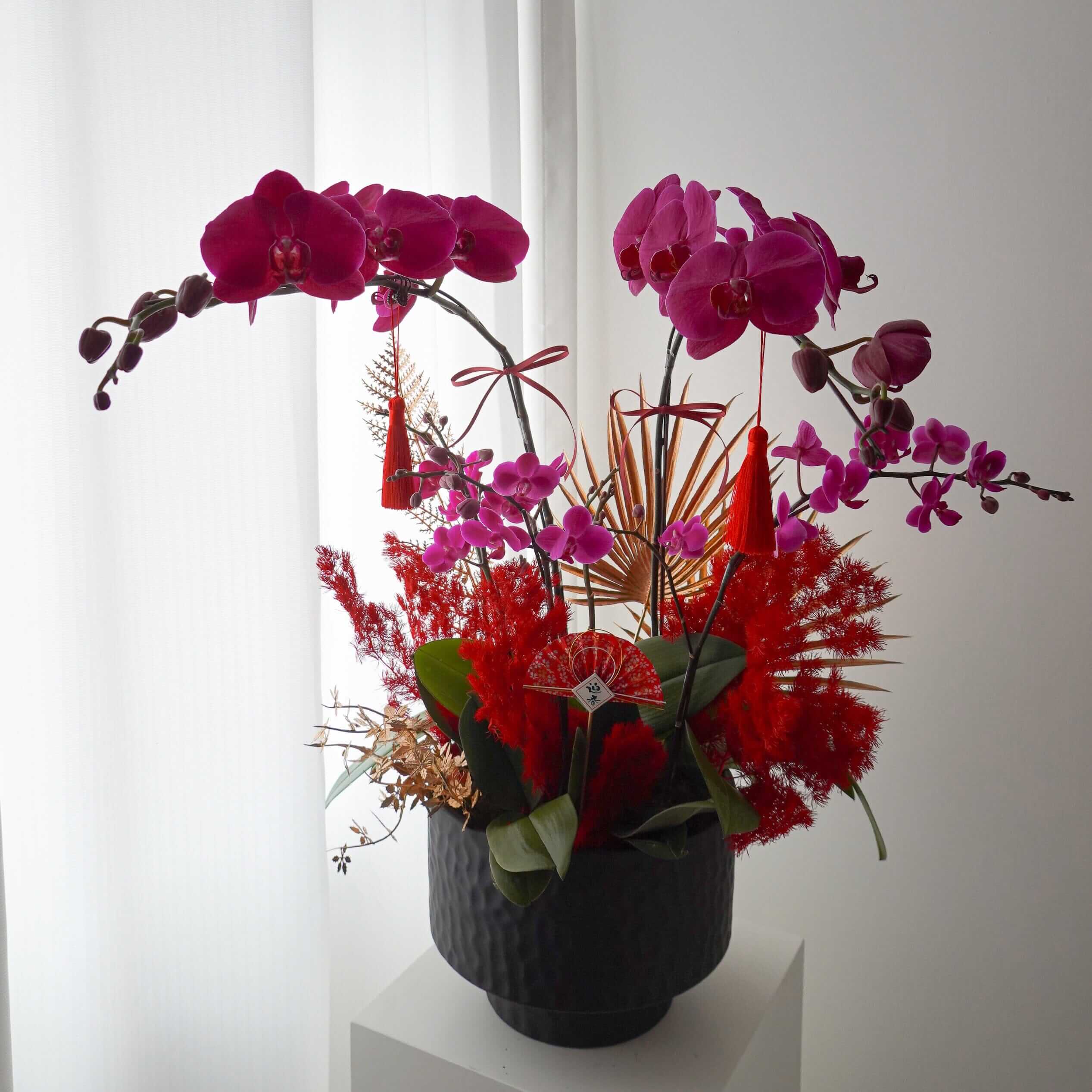 紫蝶迎福 | 蝴蝶蘭花拼盆 Fresh Cut Flowers Let Hope Bloom