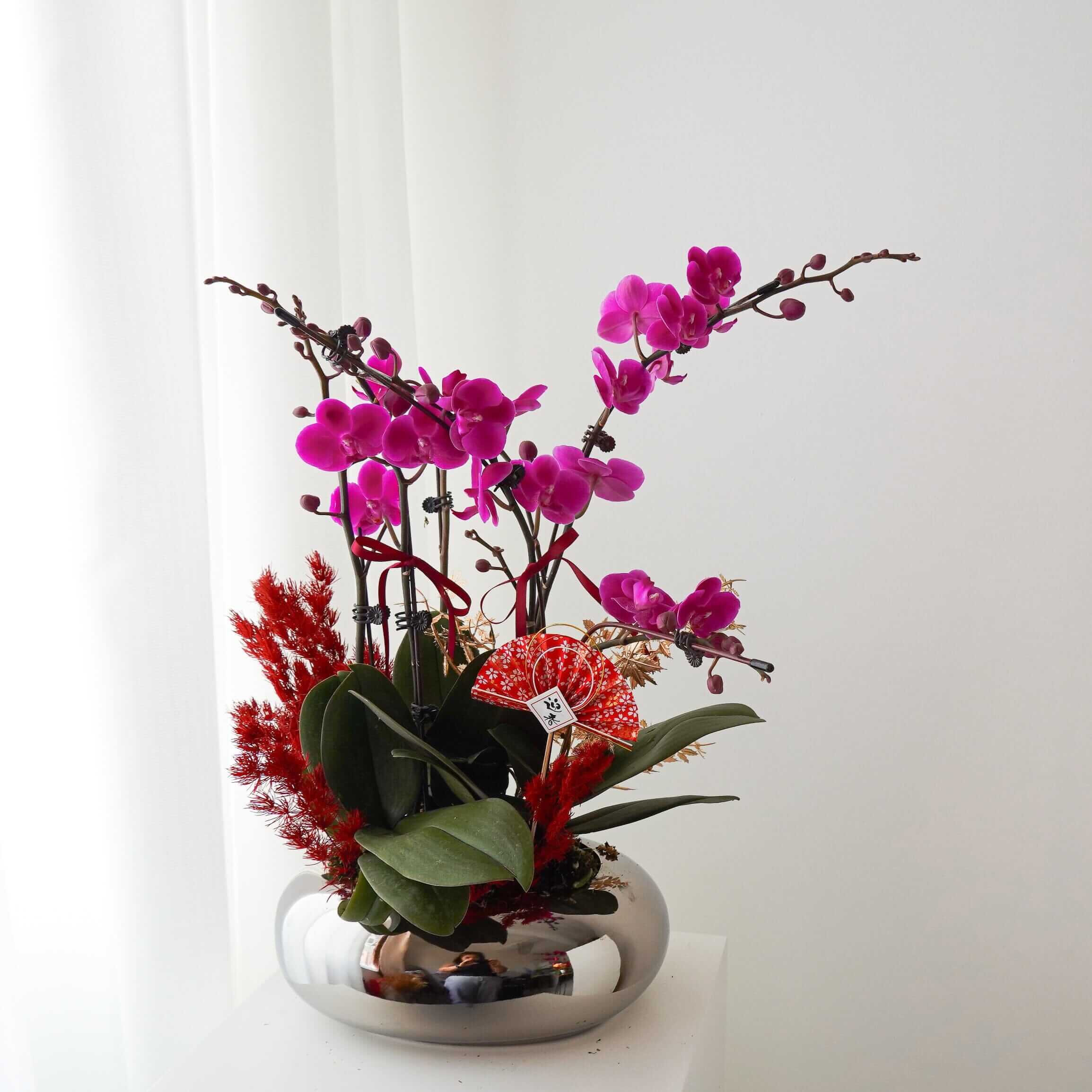 紫蘭玉露 | 蝴蝶蘭花 | 賀年蘭花 2025 | 訂蘭花 | 香港花店