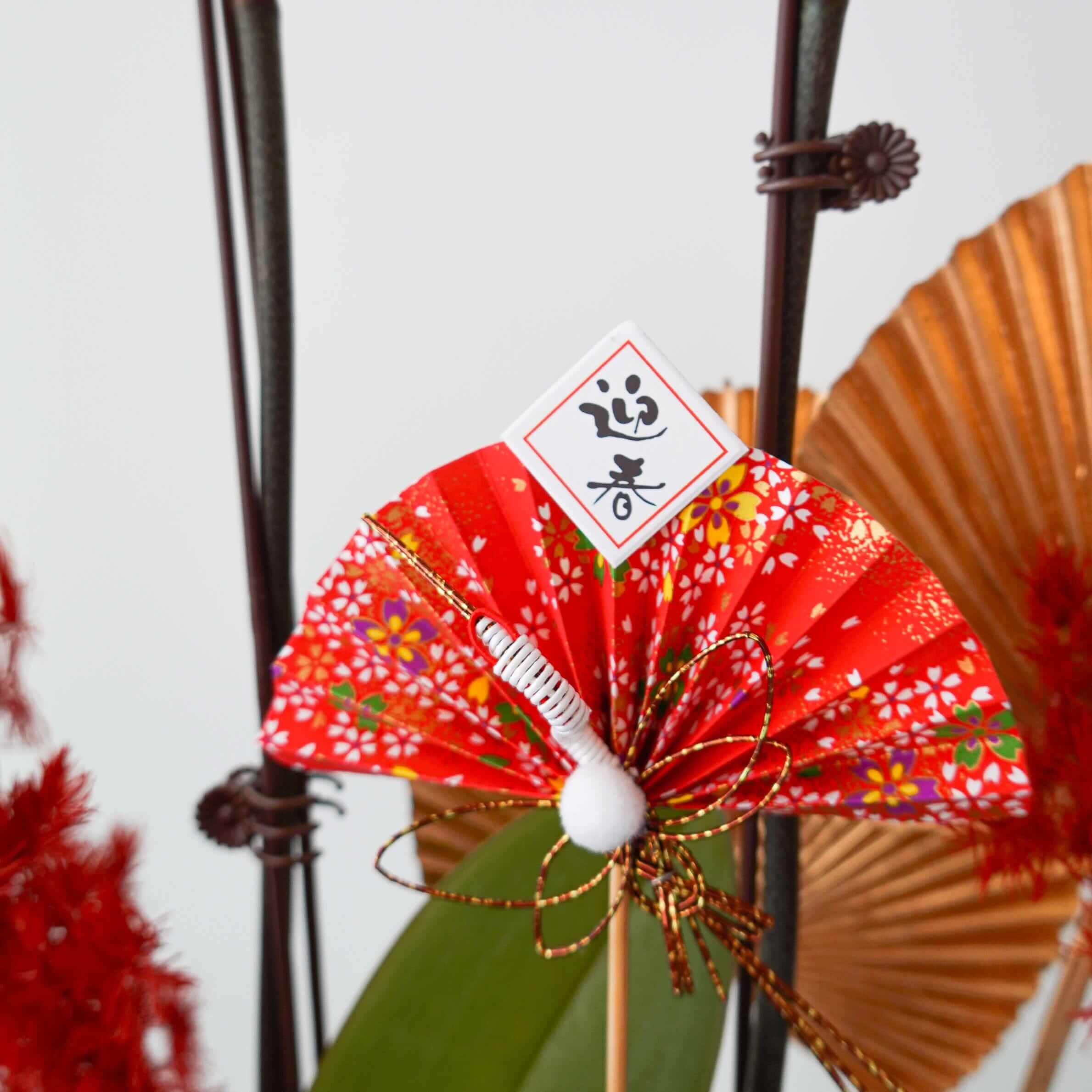 紫雲仙境 | 台灣蝴蝶蘭花 | 賀年蘭花 2025 | 訂蘭花 | 香港花店