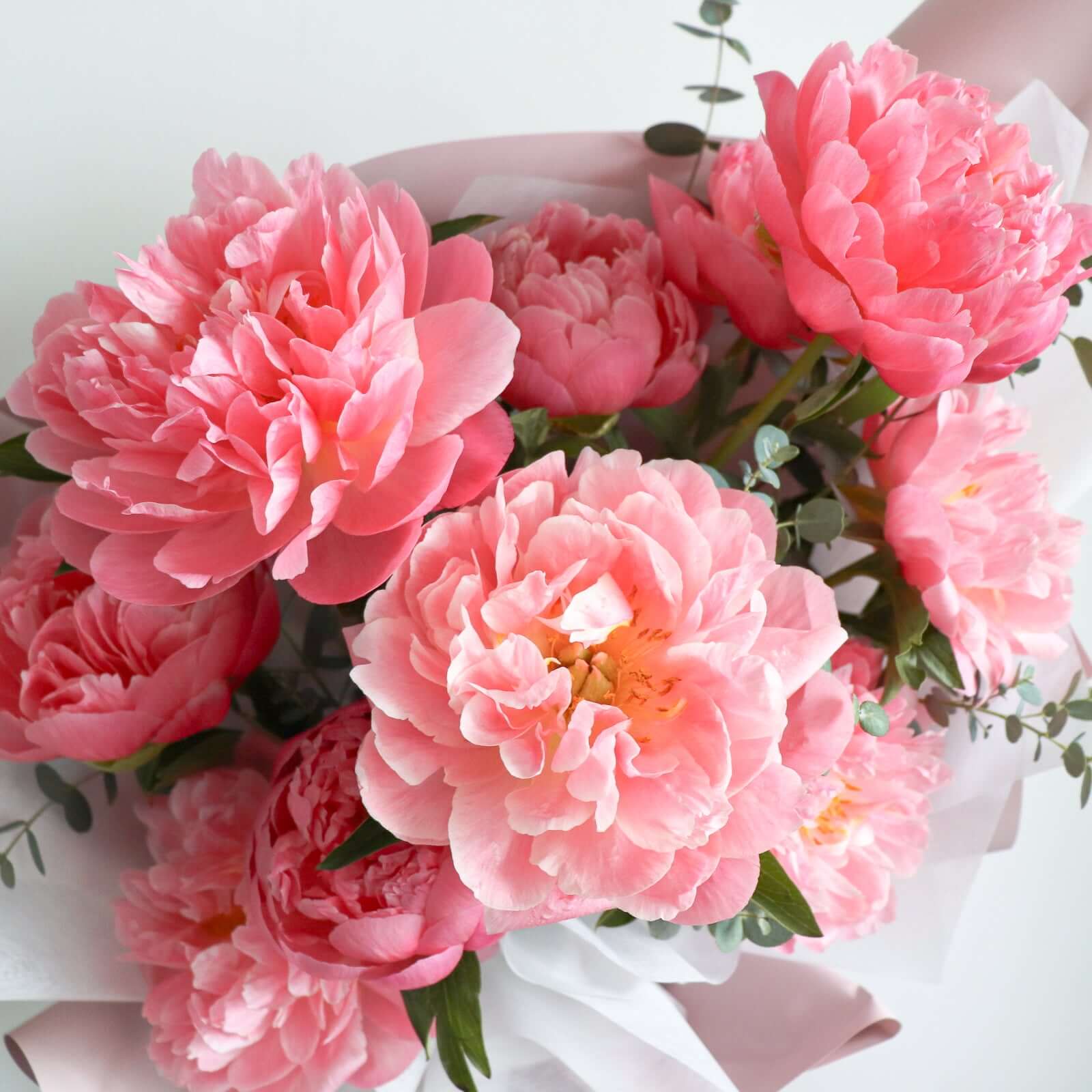 Bloom in Grace 荷蘭牡丹花束 Seasonal Bouquet Let Hope Bloom