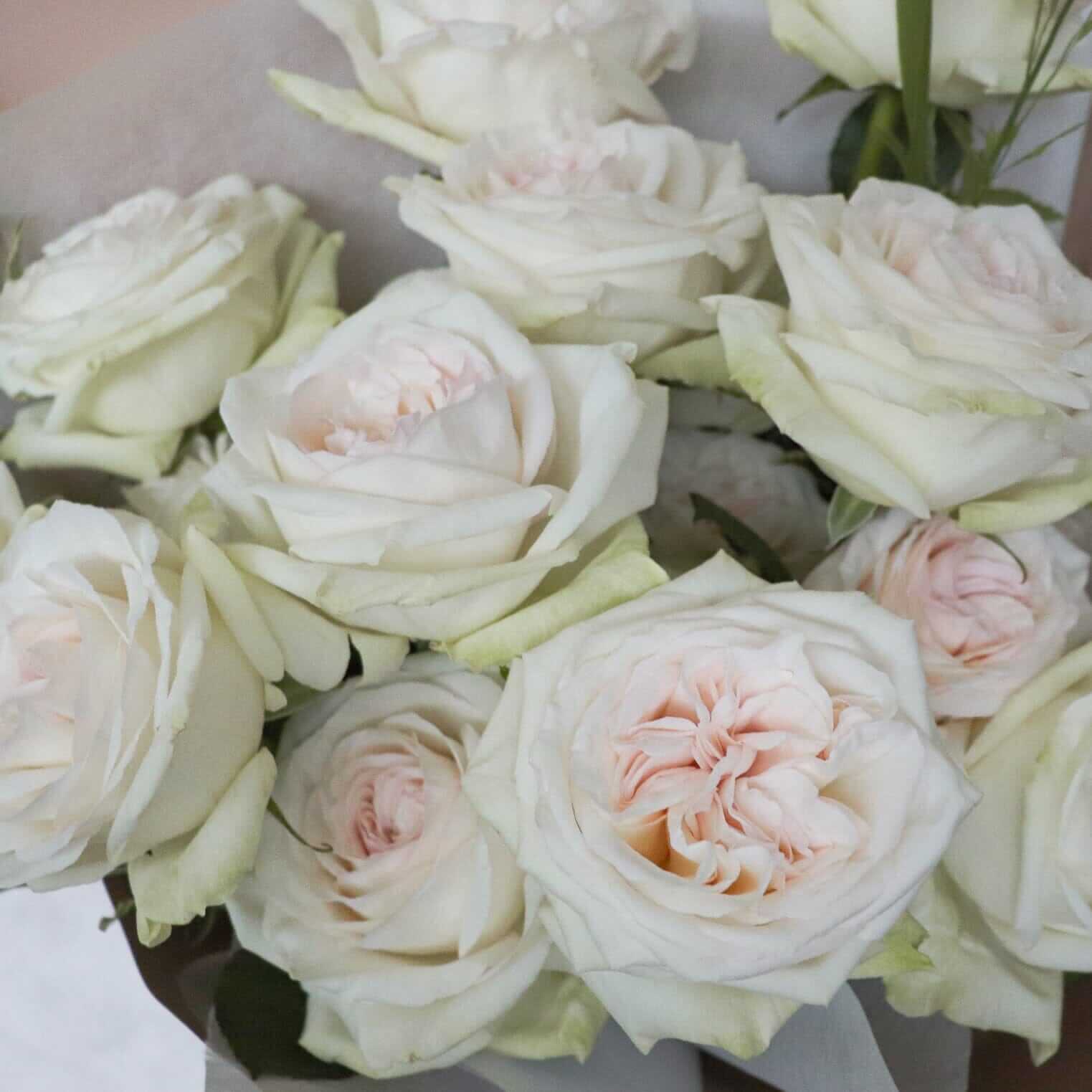 White O'Hara Rose Bouquet 庭園玫瑰花束 Seasonal Bouquet Let Hope Bloom