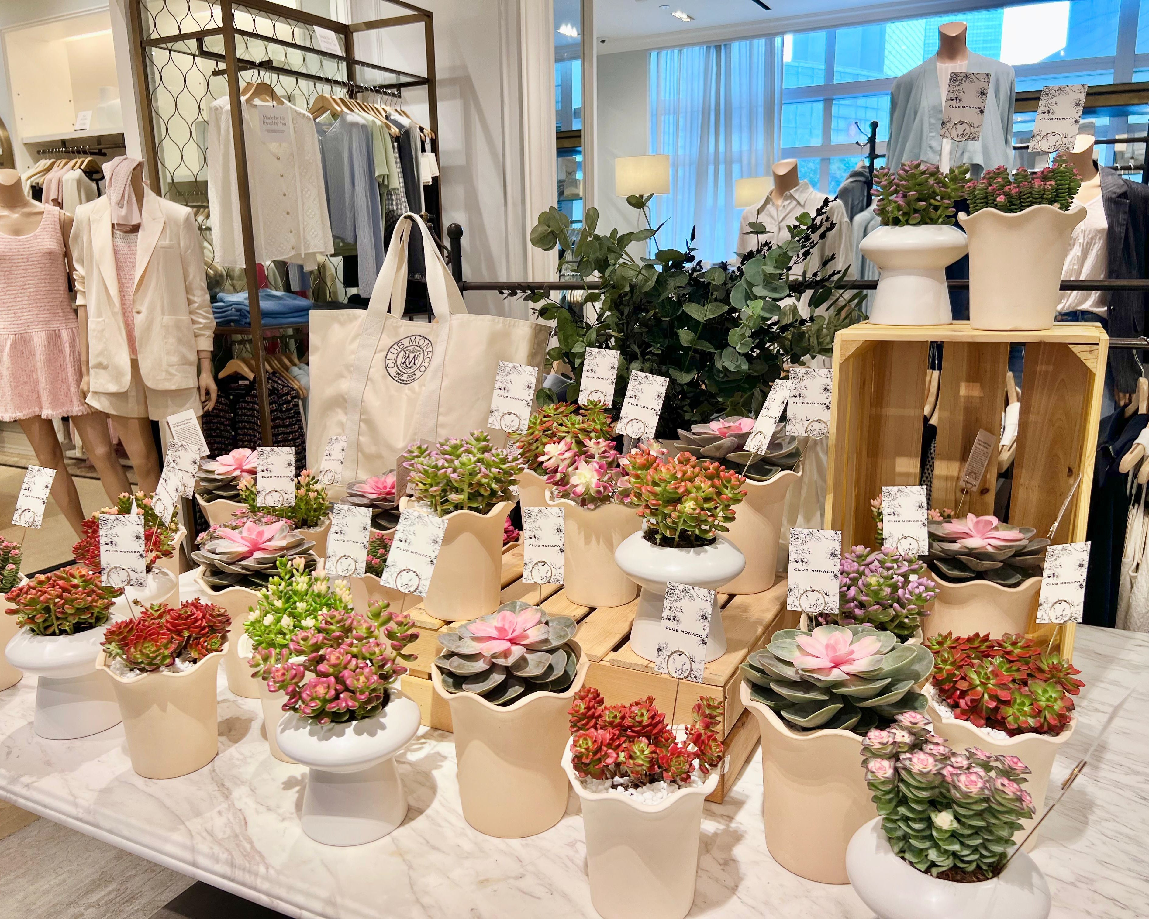 Club Monaco | Spring Succulent Activation