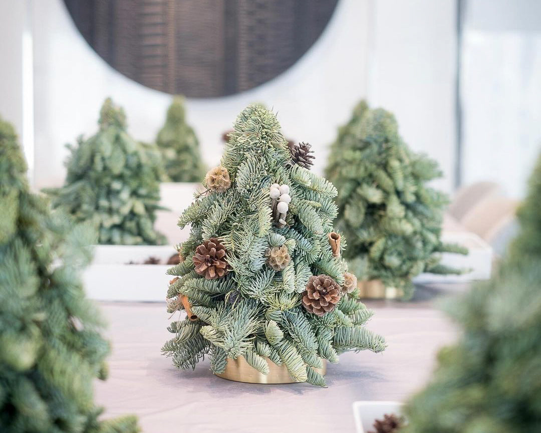 La Prairie | Christmas Tree Workshop