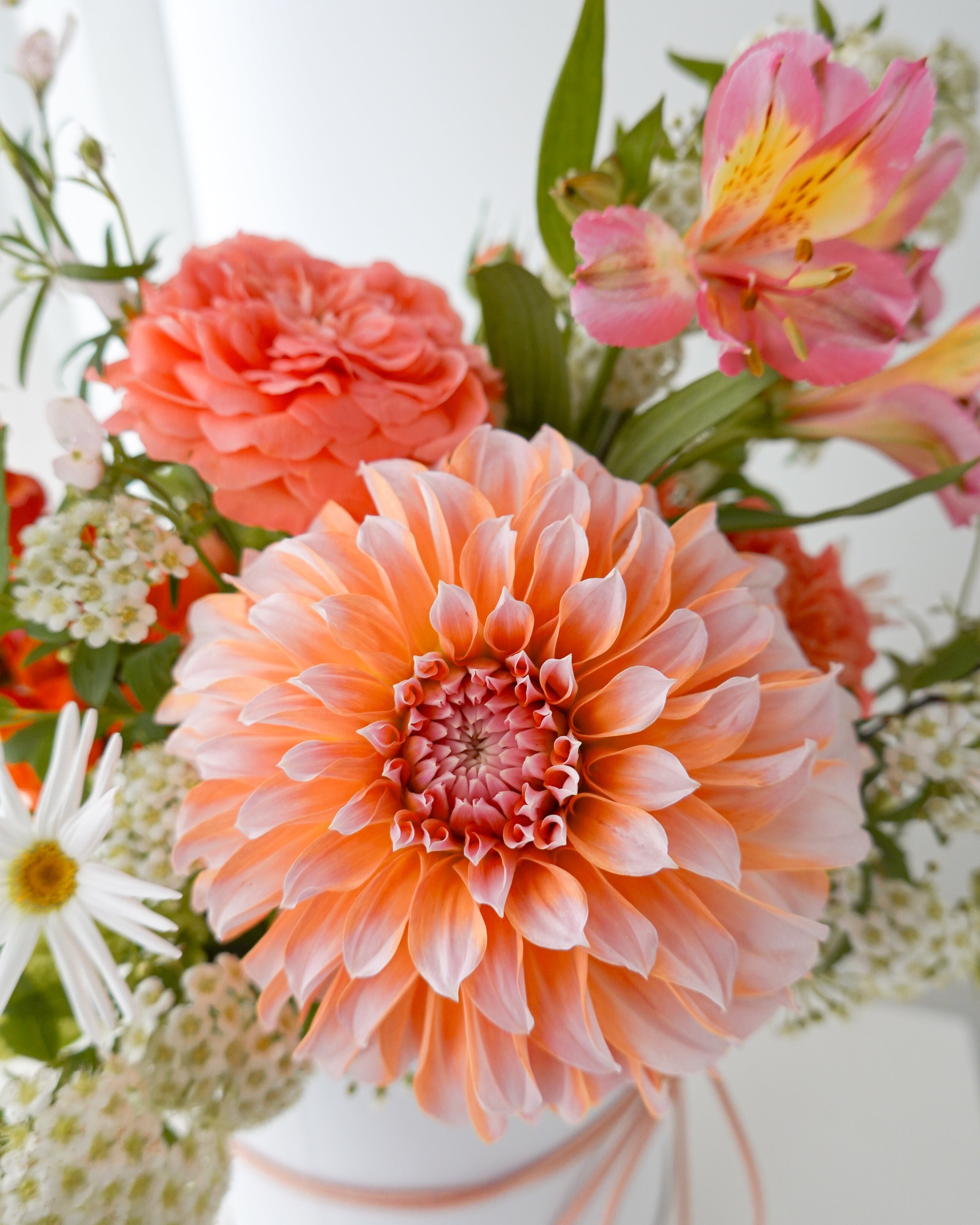 2025 香港母親節訂花 | Fearless Beauty 大理花花盒 | Let Hope Bloom Florist