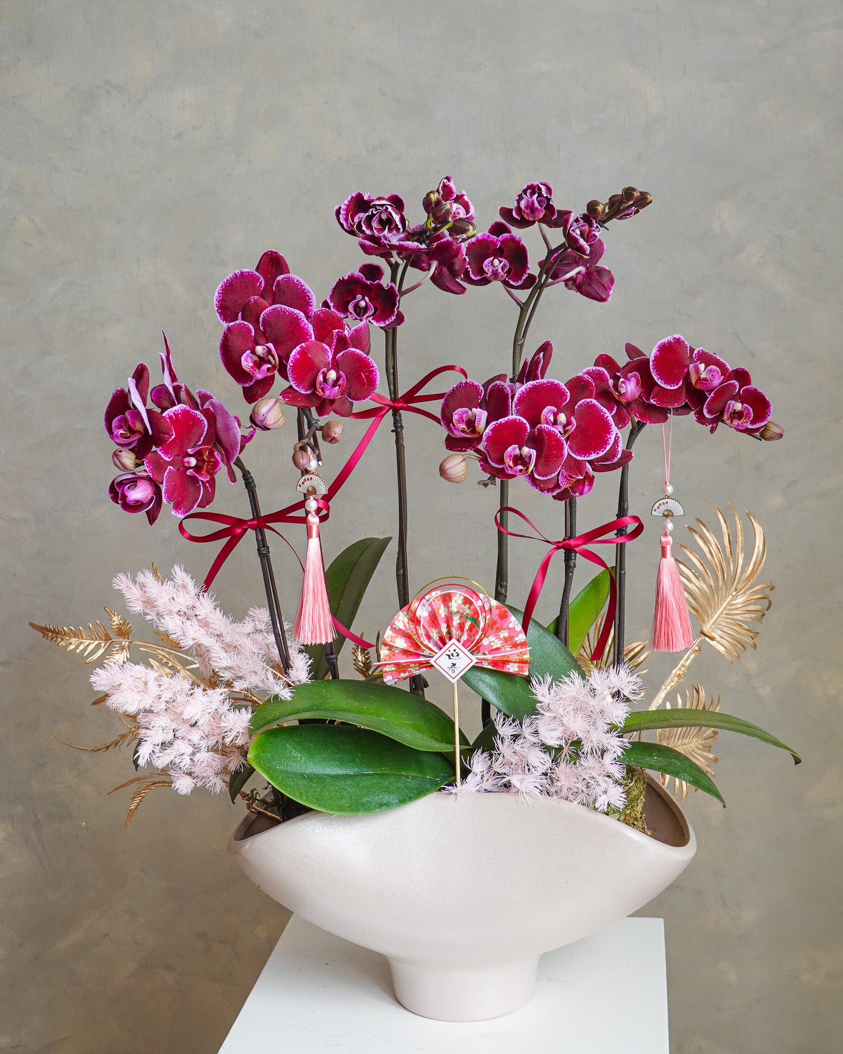 香港蘭花 | 粉紅色蝴蝶蘭 喜悅臨門 | 新年送禮 開張祝賀