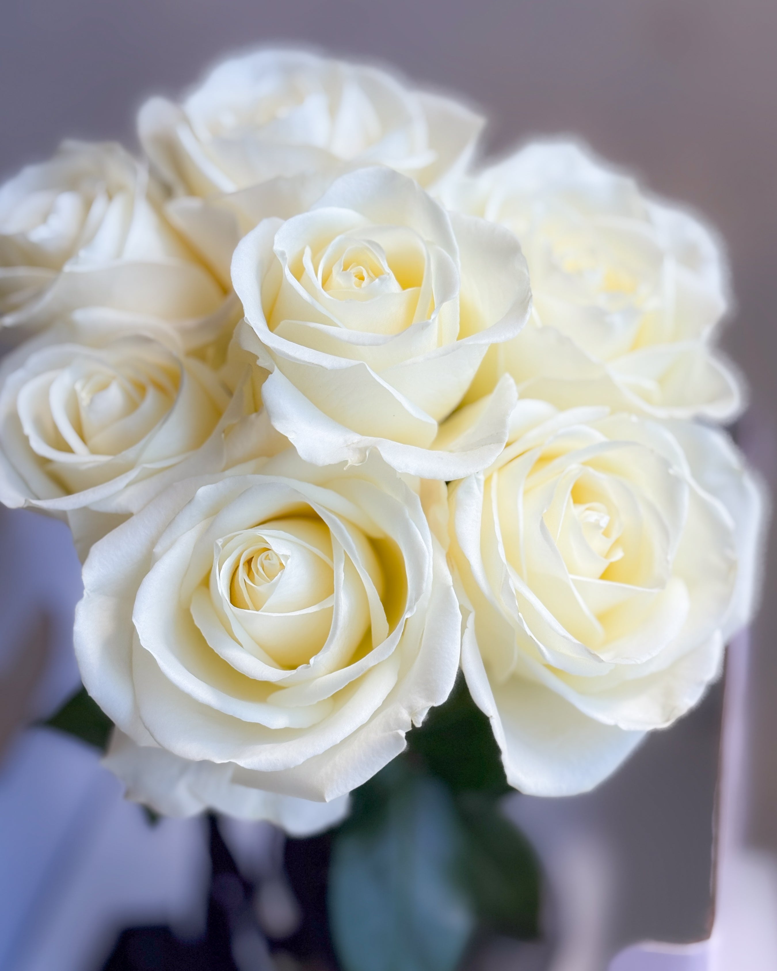 Timeless Pearl  | 厄瓜多爾玫瑰半圓形結婚花球