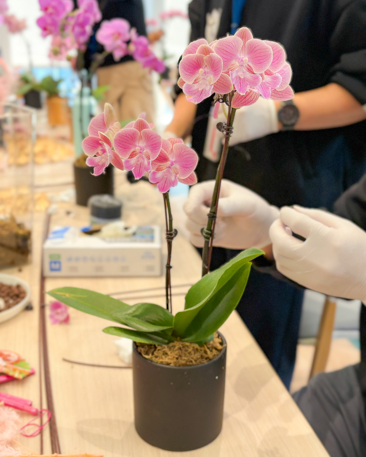 SWIFT-CNY-Orchid-Workshop-2026-4.jpg