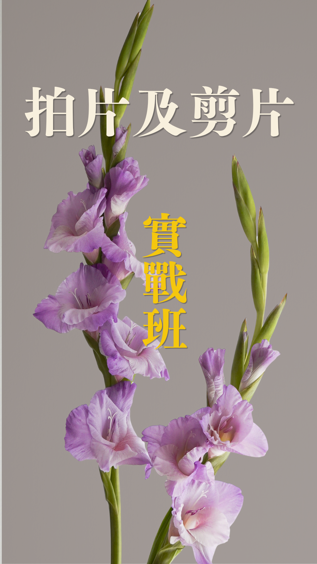 M3 拍片及剪片實戰班 — Let Hope Bloom 花藝副業創業課程，香港花藝師手機拍片及 CapCut 剪片實戰工作坊