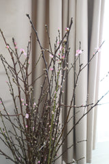 荷蘭櫻花 Prunus Peach Blossom Fresh Cut Flowers Let Hope Bloom 