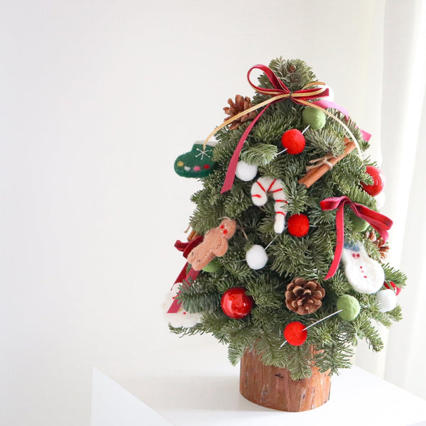 Little Wonderland Fir |<br> 新鮮荷蘭貴族松迷你聖誕樹 <br> Noble Fir Mini Christmas Tree Christmas Collection Let Hope Bloom 