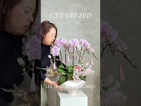 香港蘭花 | 粉紅色台灣蝴蝶蘭 春暖人和 | 新年送禮 開張祝賀