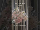 Sweet Pea 日本豌豆花