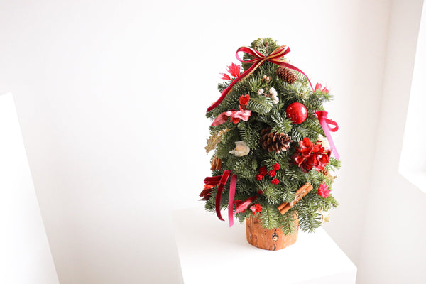 新鮮荷蘭貴族松迷你聖誕樹 <br> Noble Fir Mini Christmas Tree Christmas Collection Let Hope Bloom 