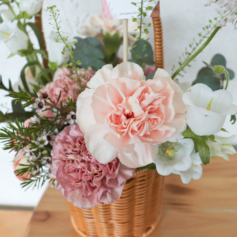 Best of Women 康乃馨花籃 Seasonal Bouquet Let Hope Bloom 