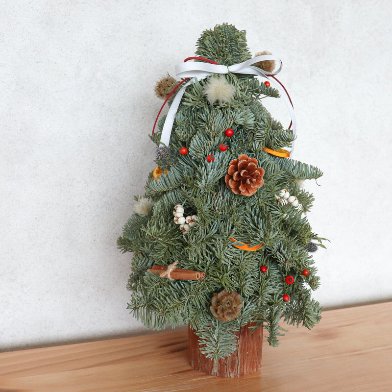 迷你手工貴族松聖誕樹工作坊 Noble Fir Christmas Tree Workshop Christmas Collection Let Hope Bloom 
