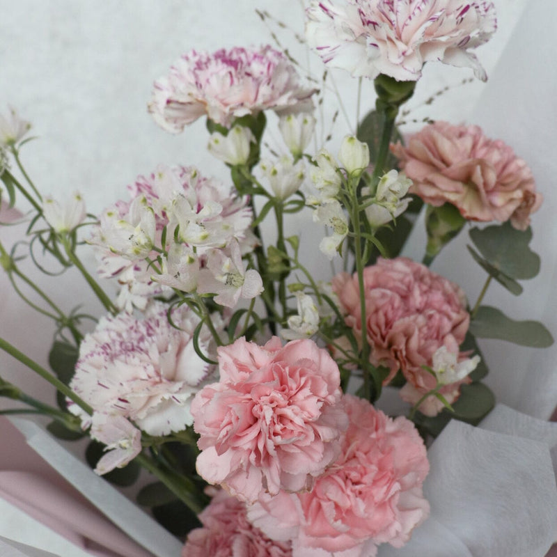 Sweet Flower of Love 康乃馨花束 Seasonal Bouquet Let Hope Bloom 
