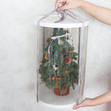 新鮮荷蘭貴族松迷你聖誕樹 <br> Noble Fir Mini Christmas Tree Christmas Collection Let Hope Bloom 