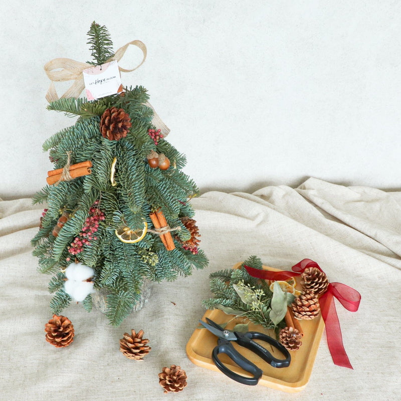 新鮮荷蘭迷你貴族松聖誕樹 DIY Set <br> Noble Fir Christmas Tree DIY Set Christmas Collection Let Hope Bloom Classic 40cm tall 